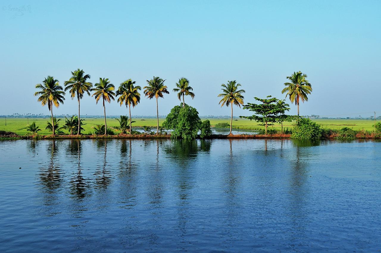Апартаменты Marari Peterland Alappuzha Номер фото